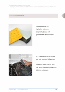 leseprobe-fahrzeugreinigung-3-300